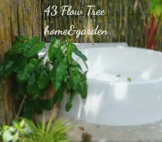 43 Flow Tree บ้านพัก